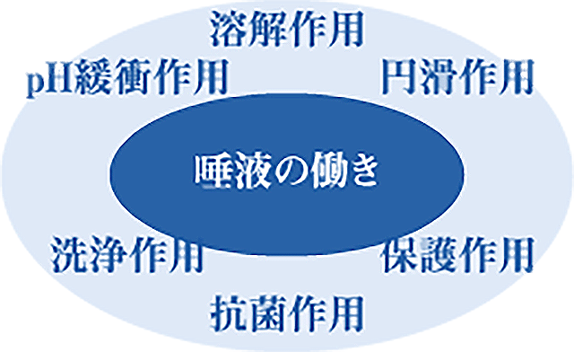 唾液の働き